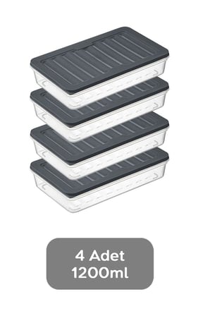 Lexroo Orret Home 4 Adet Buzdolabı Organizeri, Buzdolabı İçin Çok Amaçlı Saklama Kabı, Fresh Box