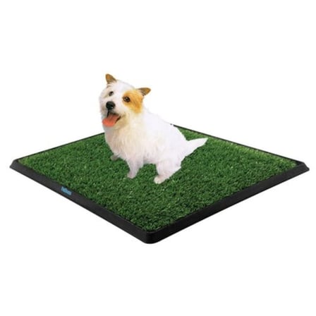 Lexroo Köpek Tuvalet Eğitim Seti