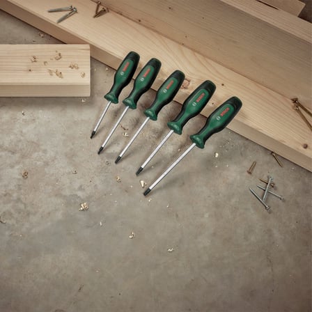 Bosch Home and Garden Torx Tornavida Seti 5 Parça