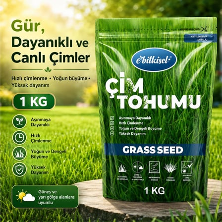 Ebitkisel Çok Yıllık Çim Tohumu 1 Kg Uzun Ömürlü 6'lı Karışım Gölge ve Aşırı Güneşli Alan Uygun
