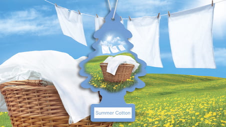 Car Freshner Asma Koku Yaz Esintisi