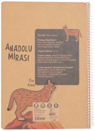 Faber-Castell Anadolu Mirası Spiralli Defter, A4, 100 Yaprak, 70g Kağıt, Çizgili