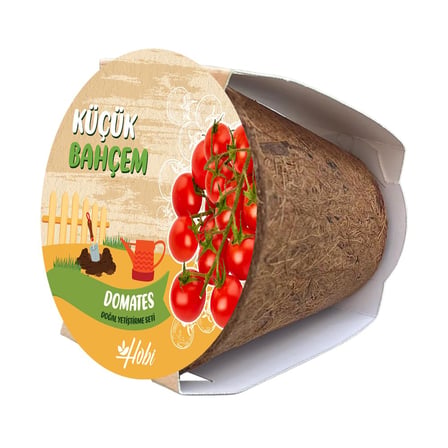 Küçük Bahçem Çeri Domates Tohumu Yetiştirme Seti