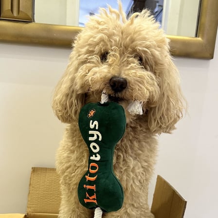 Kito Toys Kemik Peluş Köpek Oyuncağı