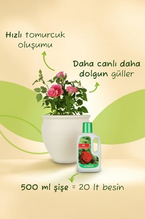 Genta Güller için Sıvı Besin - Sıvı Gübre 500 cc