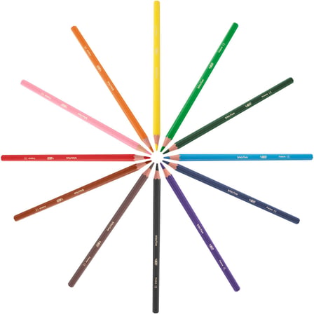 BIC Kids Evolution Kuru Boya Kalemi 12'li Metal Tüp, Kıymık Oluşturmaz, Çiğnemeye Karşı Dayanıklı