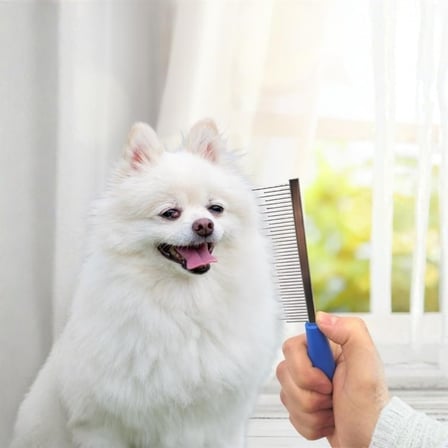 Lexroo BakGelAl Tüy Açıcı Kedi Köpek Tarağı Tek Taraflı Metal Dişli Evcil Hayvan Bakım Fırçası