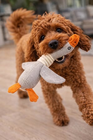 Busstier Kumaş Köpek Oyuncağı Sevimli Ördek Şekilli Ev Pet Oyuncağı Dayanıklı Dikişli Meşgul Edici