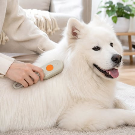 getmeev Buharlı Evcil Hayvan Temizleme Tarağı, Tek Tuş Spreyli Kedi Köpek Tarağı