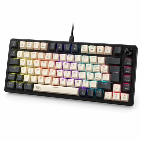 GAMEAGLE%75 Kablolu RGB Mekanik Gaming Klavye, Türkçe Q, Blue Switch KB-09
