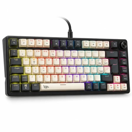 GAMEAGLE%75 Kablolu RGB Mekanik Gaming Klavye, Türkçe Q, Blue Switch KB-09