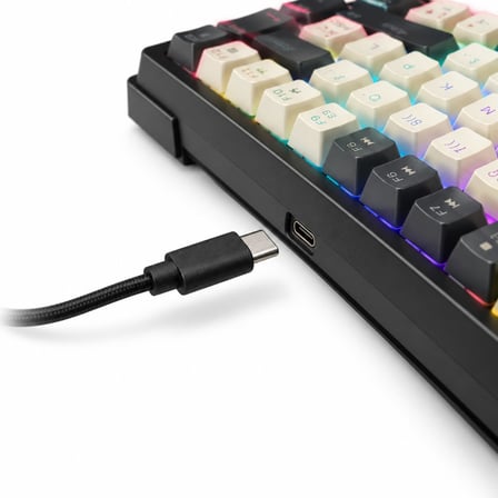 GAMEAGLE%75 Kablolu RGB Mekanik Gaming Klavye, Türkçe Q, Blue Switch KB-09