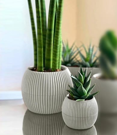 Mercan Yuvarlak Saksı Seti 0,15 litre + 0,7 litre, İç Mekan