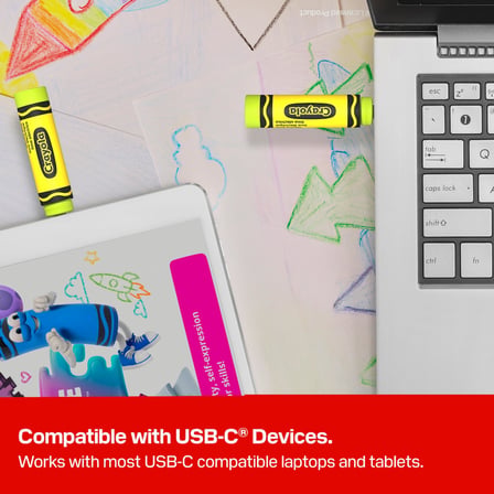 SANDISK 128GB Crayola USB-C Flash Sürücü, Elektrikli Kireç