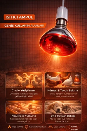 150W Isıtıcı Ampul Kırmızı Isı Lambası Civciv Kümes Kuluçka E27 Duy Isıtma Ampulü ( Lisinya )