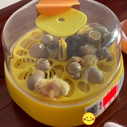 Mini Otomatik Ev Tipi Kuluçka: Papağan Bıldırcın Kuluçka Makinesi 18li Yumurtalı MX-18 ( Lisinya )
