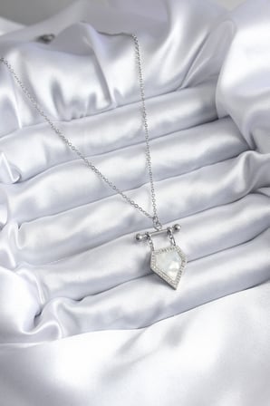 316L Çelik Gümüş Renk Zirkon Taş Detay Kadın Kolye - Lisinya