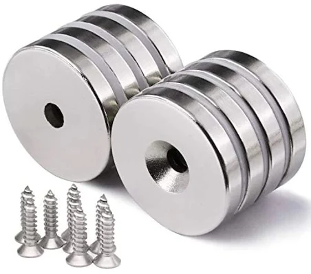 2 Adet 25x10/5x5,5 mm Neodyum Mıknatıs Havşa Delikli Magnet Vida Atılabilir N35 Nikel Paslanmaz ( Li