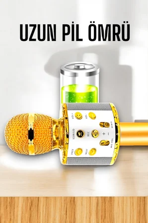 Kablosuz Bluetooth Karaoke Mikrofon USB ve AUX Girişli, Yüksek Ses Kalitesi - Lisinya