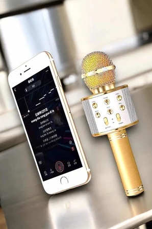 Şarjlı ve Uzun Pil Ömürlü Karaoke Mikrofon USB Bellek Destekli, Profesyonel Ses - Lisinya