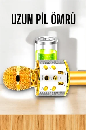 Kablosuz Bluetooth Karaoke Mikrofon USB ve AUX Girişli, Yüksek Ses Kalitesi - Lisinya