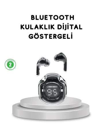 Bluetooth 5.3 Kablosuz Kulaklık HiFi Stereo ve Ekstra Bass Dijital Ekranlı - Lisinya