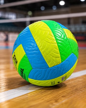 VOLEYBOL TOPU - Lisinya