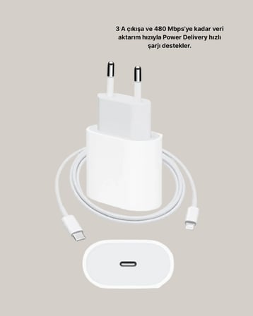 iOS Uyumlu 20W USB-C Hızlı Şarj Cihazı Telefon ve Tablet İçin - Lisinya