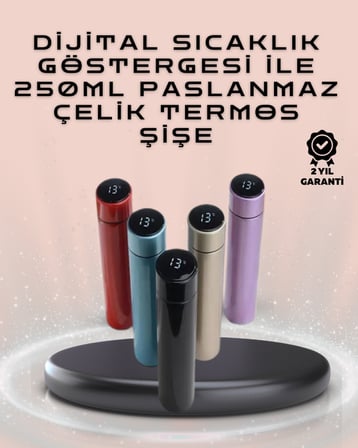 250ml LED Ekranlı Paslanmaz Çelik Akıllı Termos - Lisinya