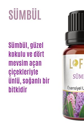 Sümbül Uçucu Yağ Buhurdanlık Esansı Oda Kokusu Uçucu Esansiyel Yağ Buhur Yağı 10ML