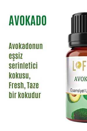 Avokado Uçucu Yağ Buhurdanlık Esansı Oda Kokusu Uçucu Esansiyel Yağ Buhur Yağı 10ML