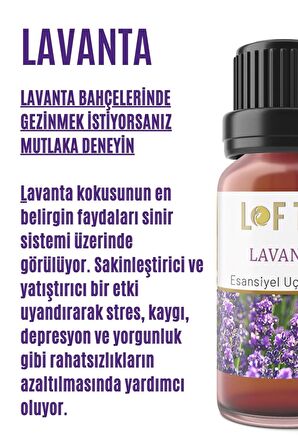 Lavanta Uçucu Yağ Buhurdanlık Esansı Oda Kokusu Uçucu Esansiyel Yağ Buhur Yağı 10ML