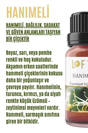 Hanımeli Uçucu Yağ Buhurdanlık Esansı Oda Kokusu Esansiyel Yağ Buhur Yağı 30ML