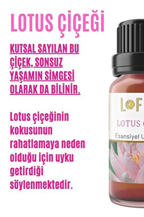 Lotus Çiçeği Uçucu Yağ Buhurdanlık Esansı Oda Kokusu Esansiyel Yağ Buhur Yağı 30ML