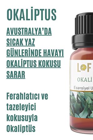 Okaliptus Uçucu Yağ Buhurdanlık Esansı Oda Kokusu Uçucu Esansiyel Yağ Buhur Yağı 10ML