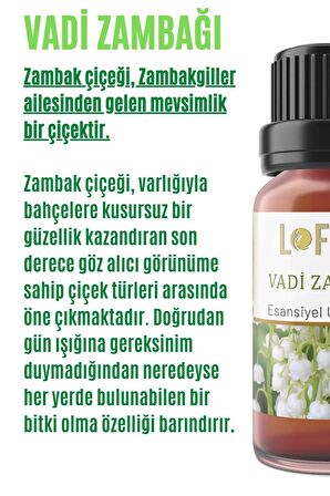 Vadi Zambağı Uçucu Yağ Buhurdanlık Esansı Oda Kokusu Esansiyel Yağ Buhur Yağı 30ML