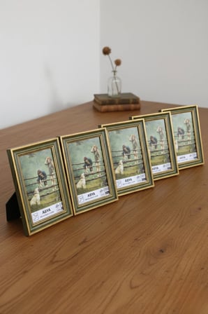 Dekoratif 5'li Set Antik Desenli Yeşil 15x21 Ayaklı Plastik Fotoğraf Çerçevesi
