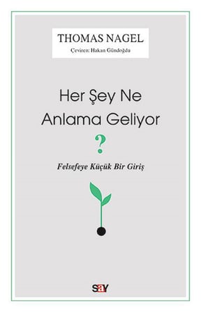 Her Şey Ne Anlama Geliyor?
