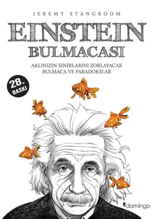 Einstein Bulmacası  Aklınızın Sınırlarını Zorlayacak Bulmaca ve Paradokslar