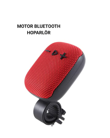 MOTOR SPEAKER - Lisinya