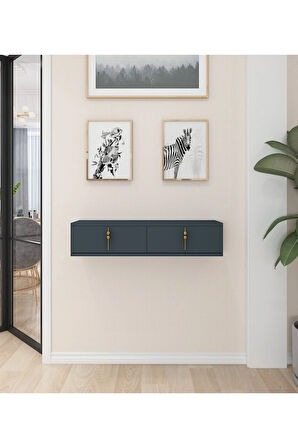 Skys Duvara Monte Dresuar | Antrasit - Antrasit