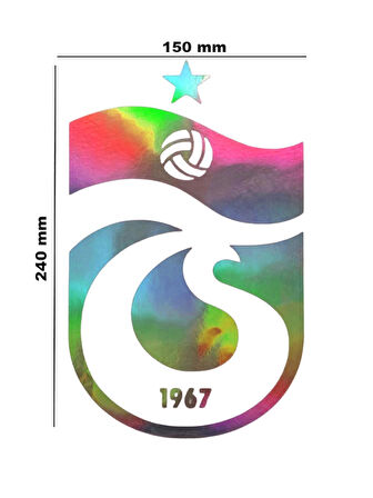 TS Amblem Hologram Sticker 150*240 mm
