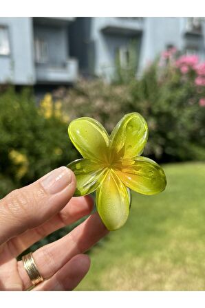 Çiçek Toka Orta Boy Hibisküs