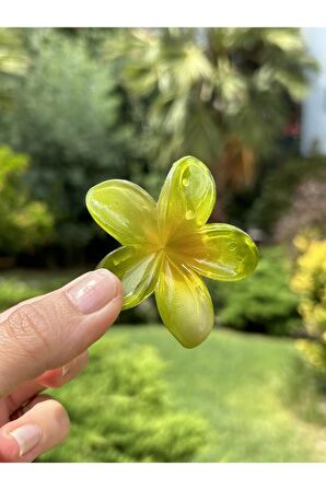 Çiçek Toka Orta Boy Hibisküs