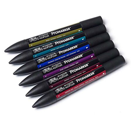 Winsor Newton Promarker Rich Tones 6lı