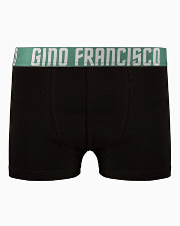 YEŞİL Premium Kutulu 3'lü Erkek Boxer