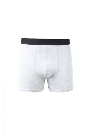 ALEXANDERGARDI 3'LÜ EKONOMİK KARIŞIK BOXER SETİ (M080184-89)