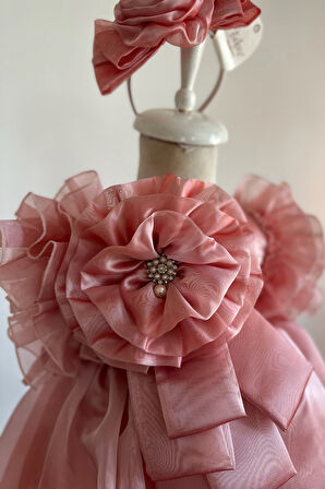 Özel Tasarım Kız Çocuk Elbise, Çiçek ve İnci Detaylı, Kolu Fırfırlı, Taç Aksesuarlı