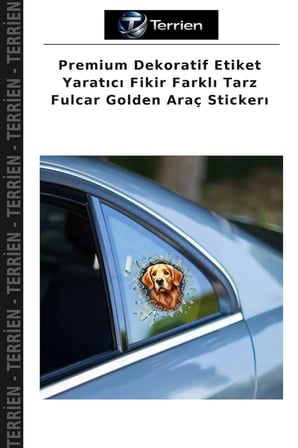 Premium Dekoratif Etiket Yaratıcı Fikir Farklı Tarz Fulcar Golden Araç Stickerı