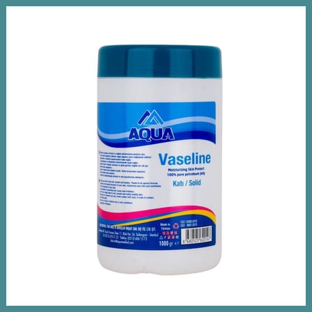 Trendexa Katı Vazelin 1 Litre MAC